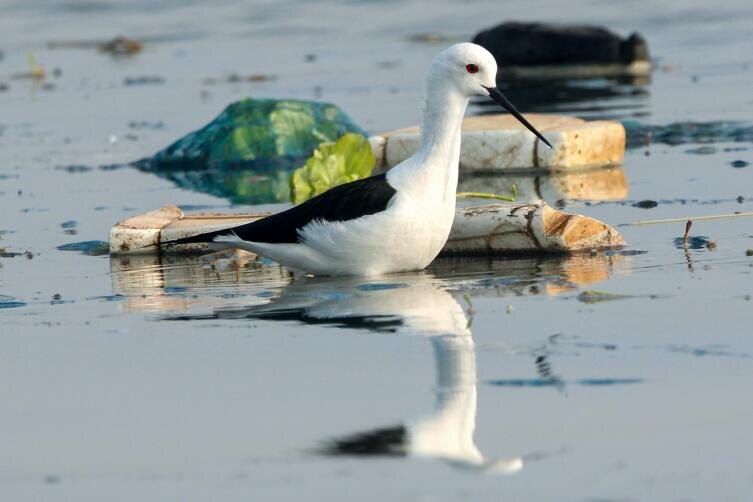    Фото: Omkar Rane on Unsplash