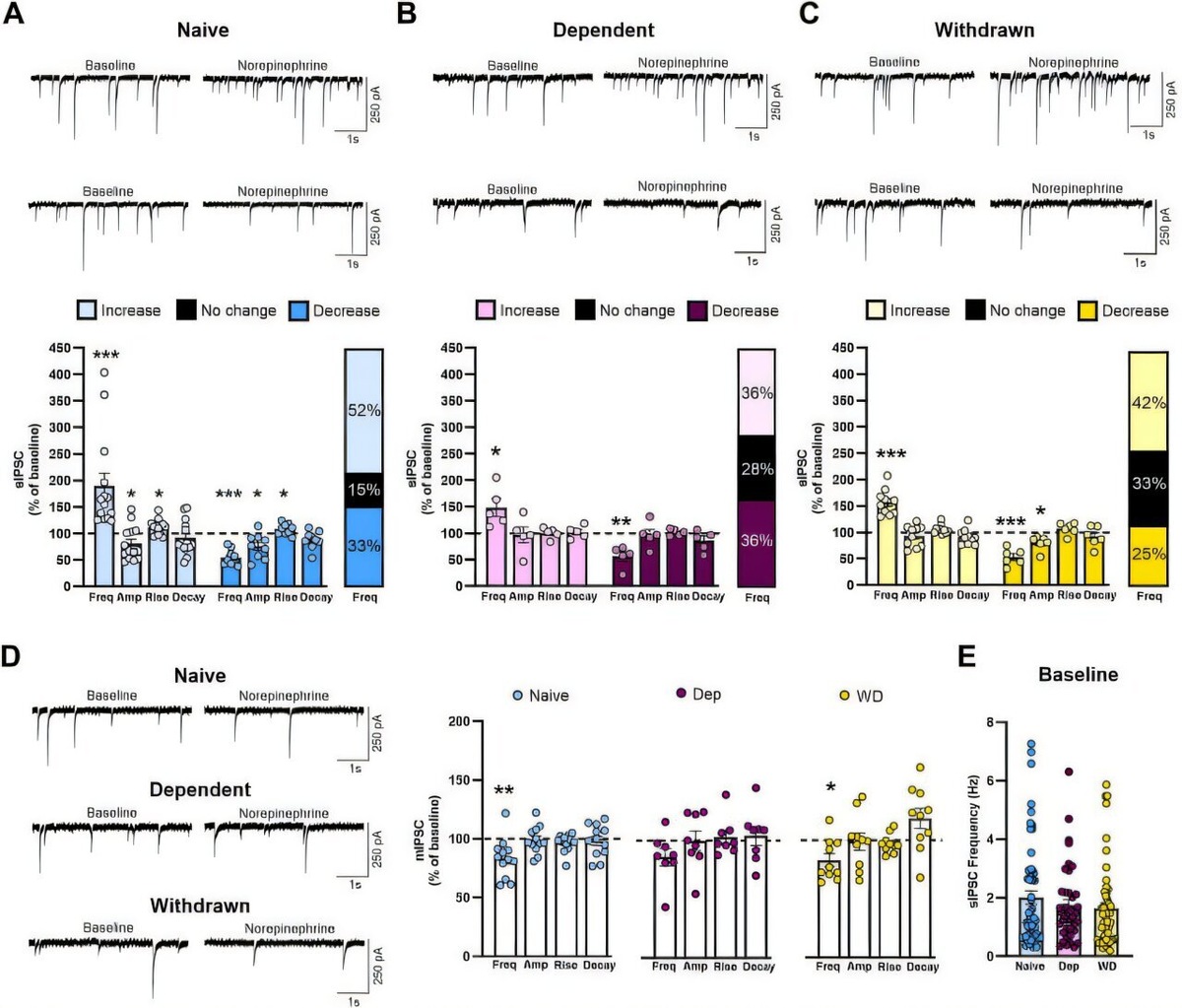    Biological Psychiatry (2025). DOI: 10.1016/j.biopsych.2025.03.024