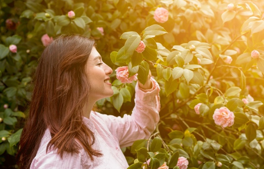 Шиповников день: что нужно сделать 6 июня, чтобы не остаться нищим и больным