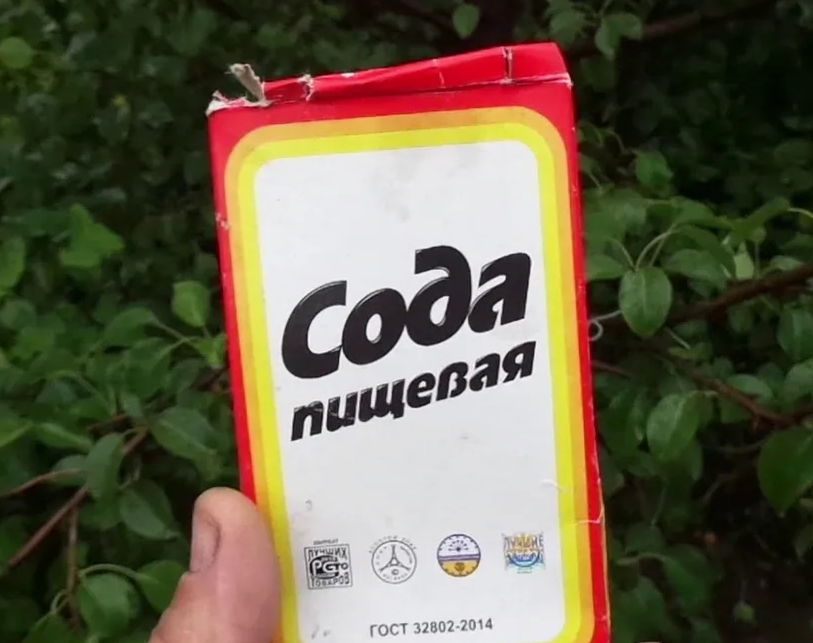 Сода для сада