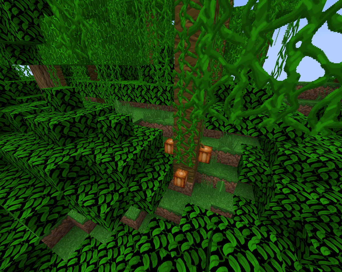 Какао бобы растут на дереве в Майнкрафте