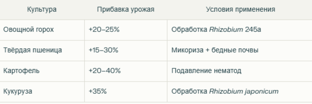 -20