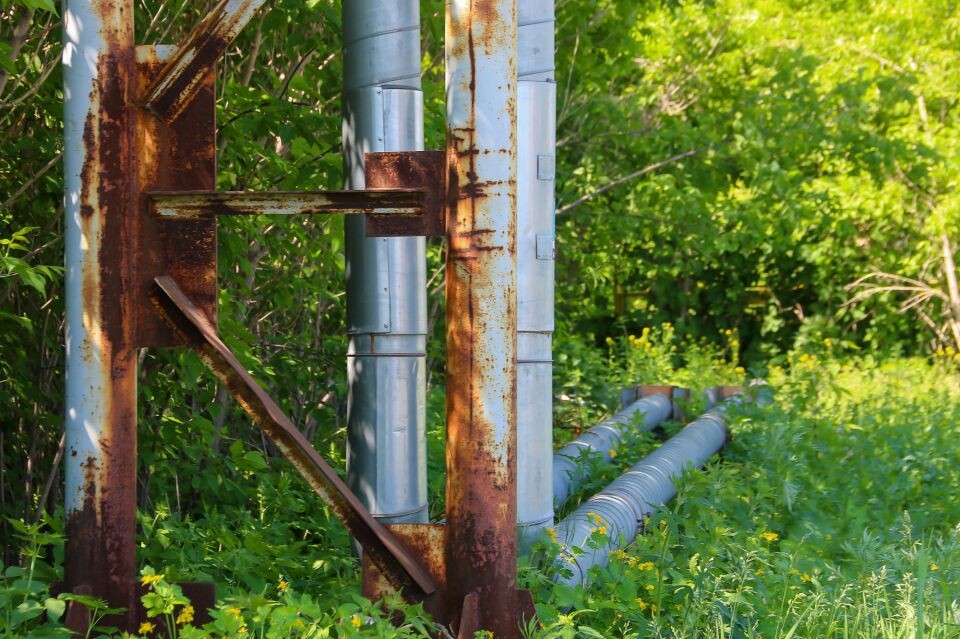    Окрестности участка на улице Гоголя, 219. Источник: Виталий Барабаш