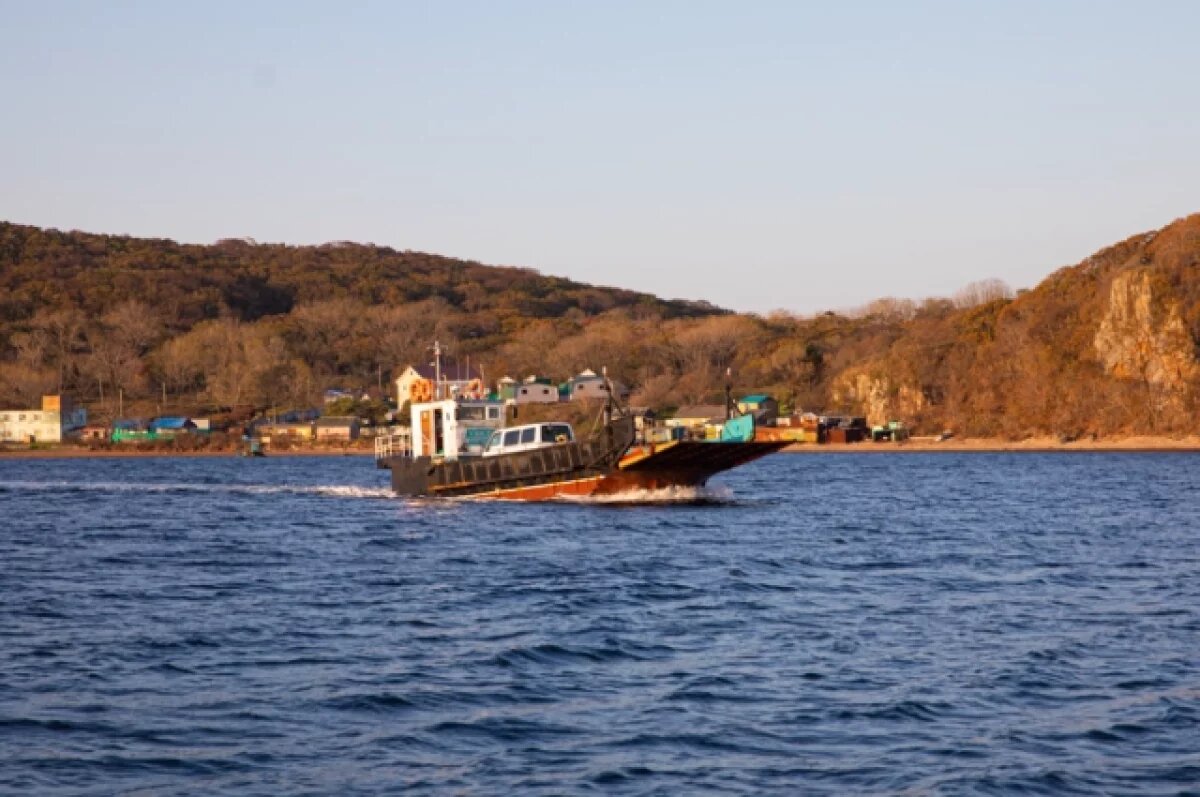    Суд во Владивостоке выселил самозахватчика дома на острове Попова