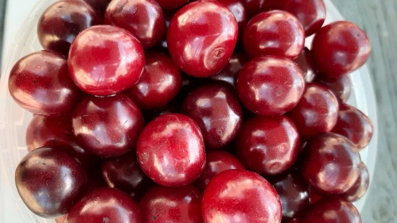     Ягода. altapress.ru