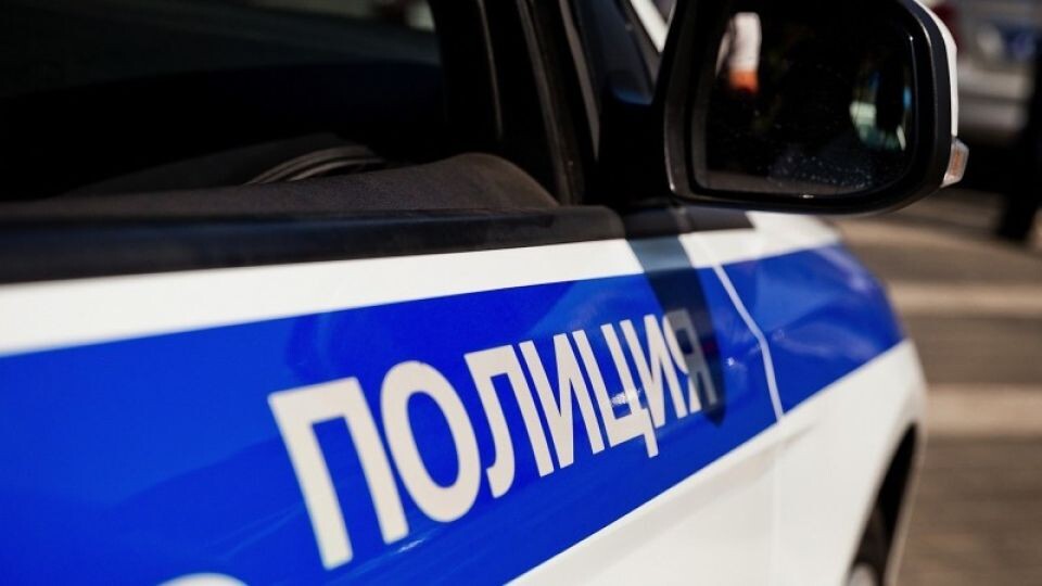    Полиция. Источник: МВД