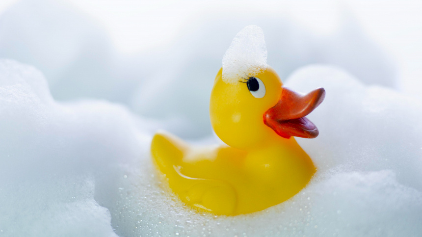    Фото: www.globallookpress.com/ZAM-Photography