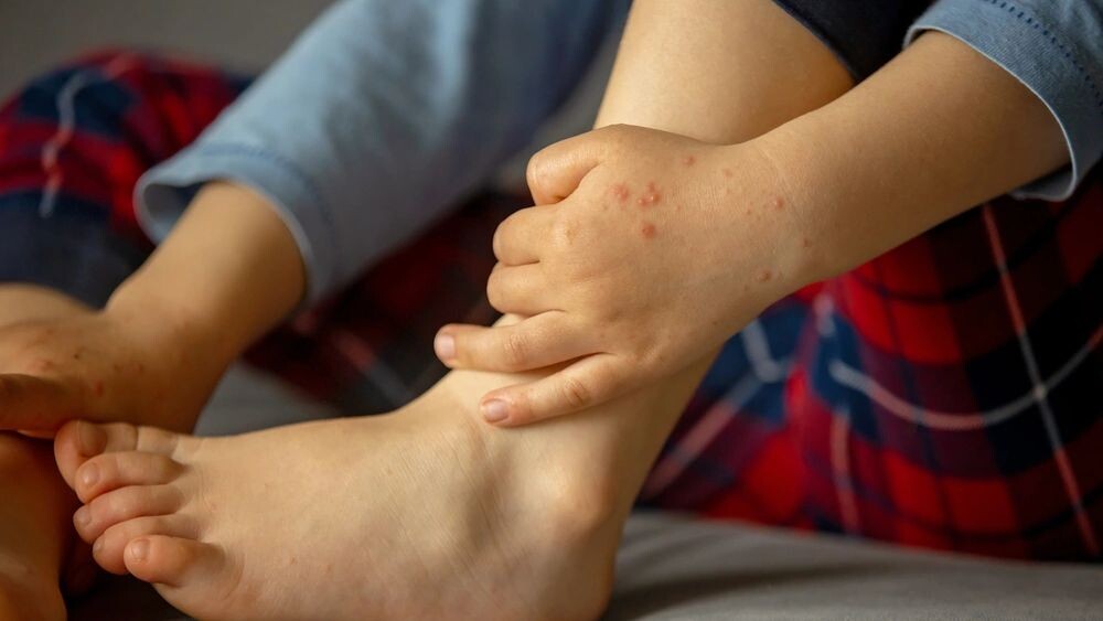    Фото: Tomsickova Tatyana/Shutterstock/Fotodom