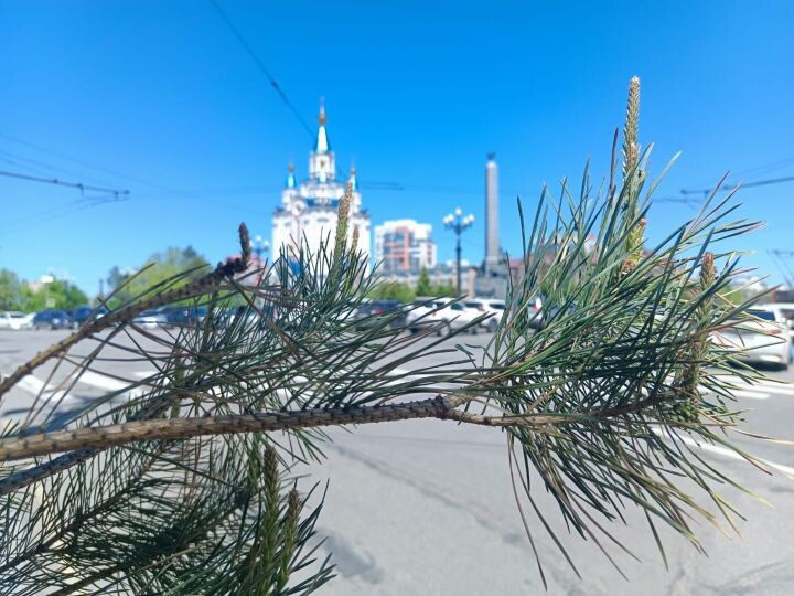    Фото:Виктория Андреева