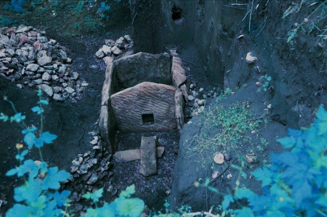 Картинка из общего доступа