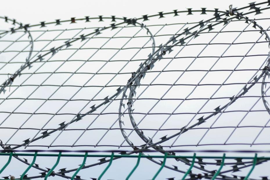    Сергей Петров/NEWS.ru