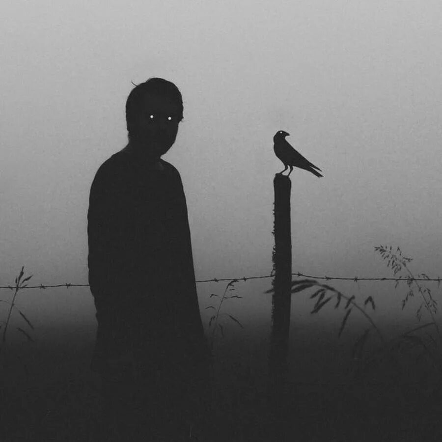 Изображение взято из открытых источников интернета. 