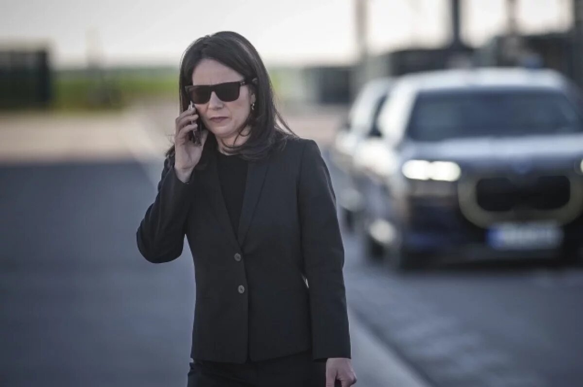    Циничный прагматик: эксперт рассказал, что скрывает избранная в ООН Бербок