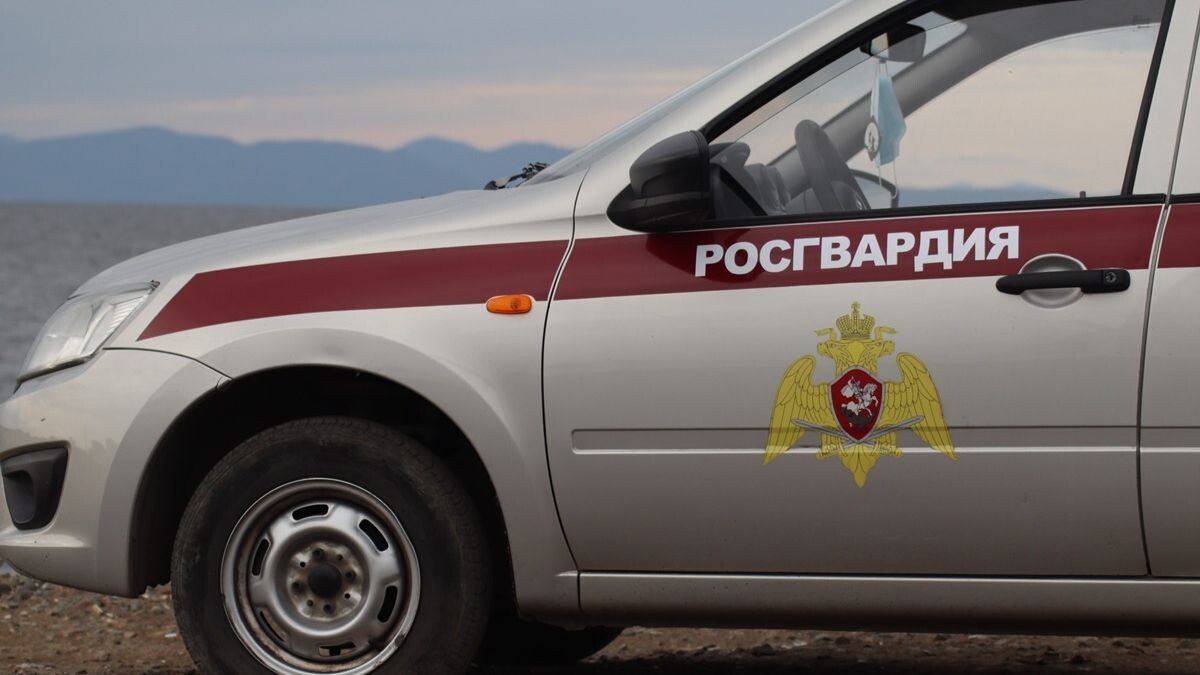     Источник: пресс-служба Управления Росгвардии по Приморскому краю