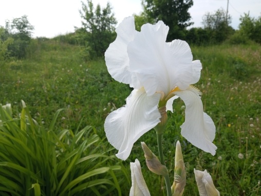 Мимолётное счастье.