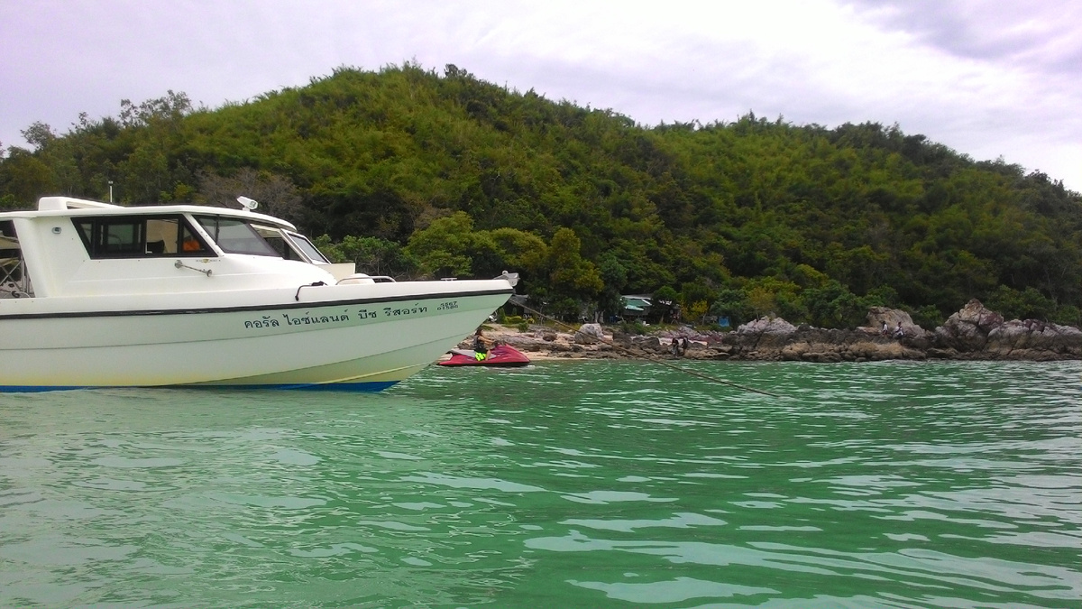 Интересно, как сложилась судьба того директора журнала?