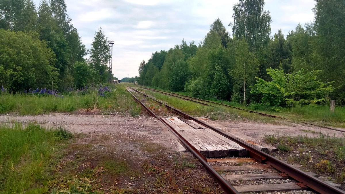 Переезд железнодорожных путей возле станции