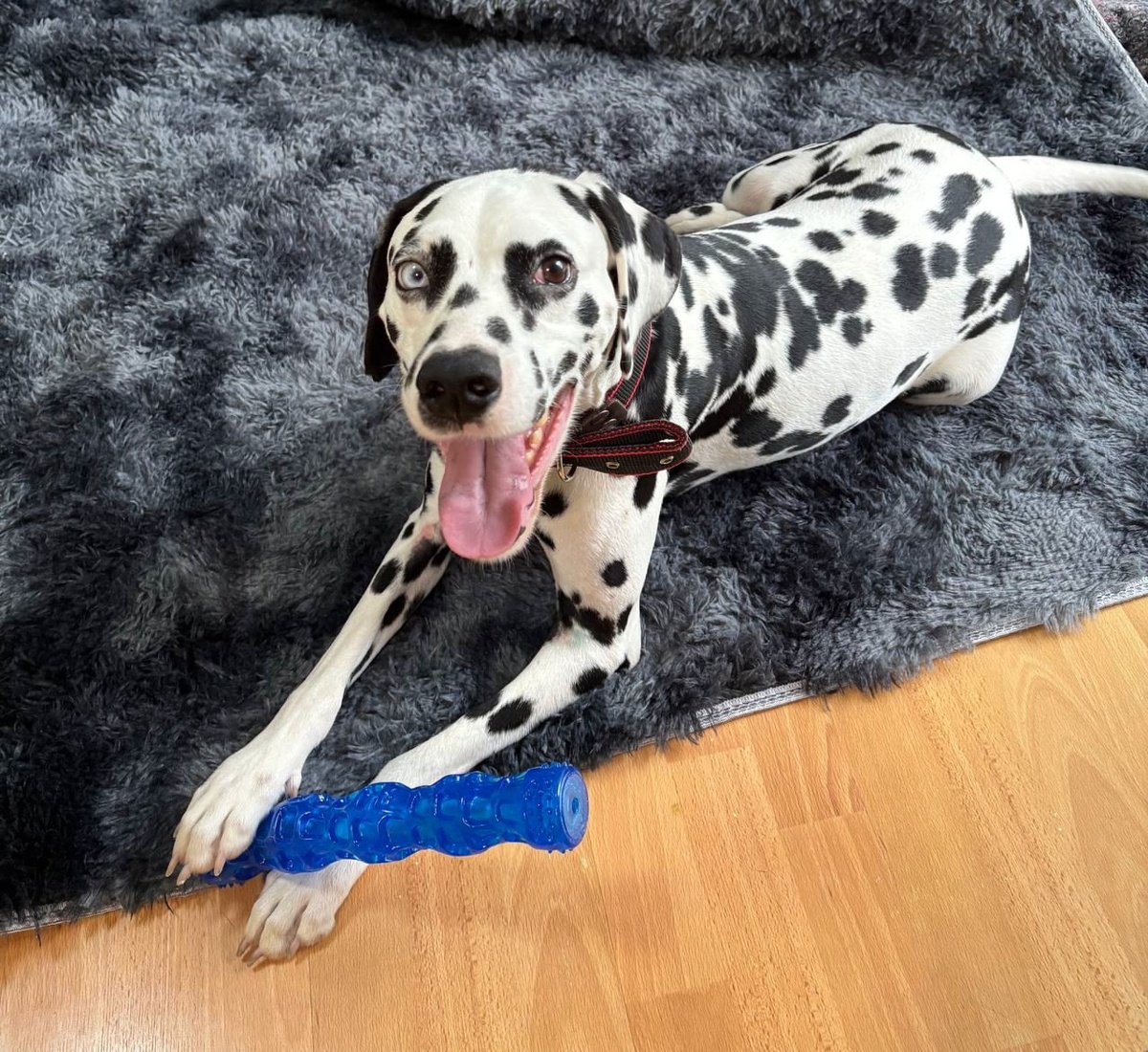 Друзья, вы только посмотрите на ее улыбчивые фотографии!