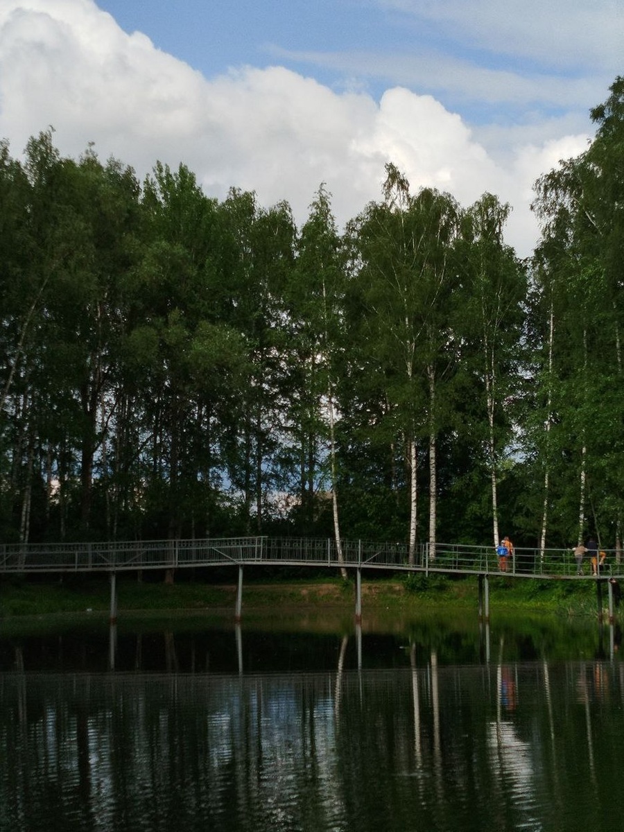 парк бывшего дома отдыха "Костромской"