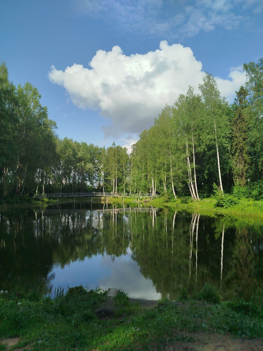 парк бывшего дома отдыха "Костромской"