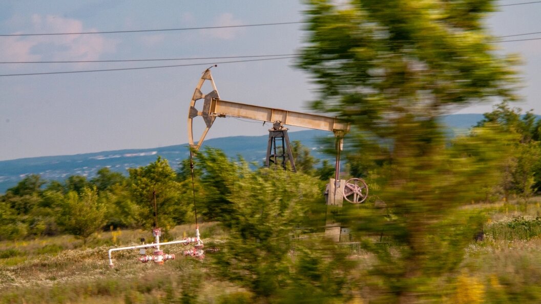    Фото: Svetlana Vozmilova /Globallookpress