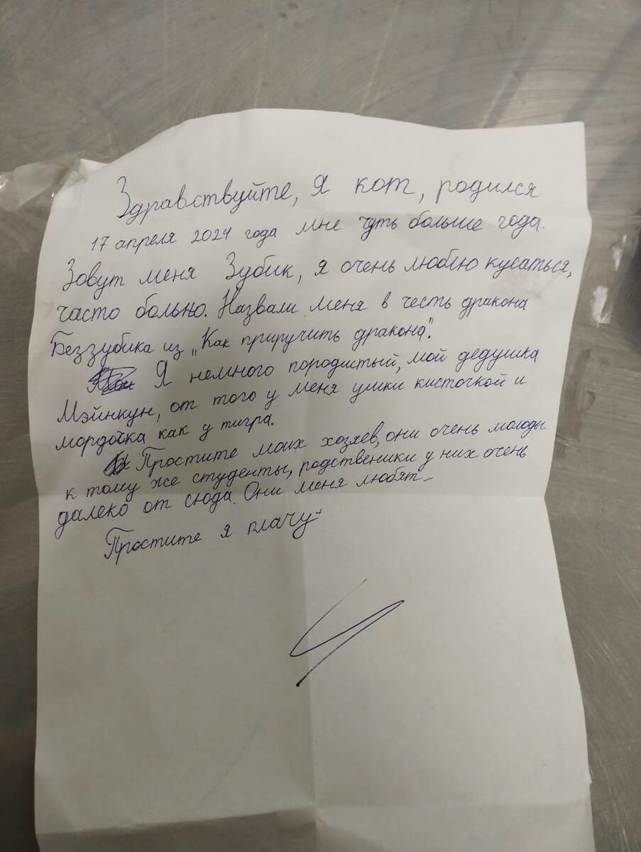 Не верю в то,что любят.