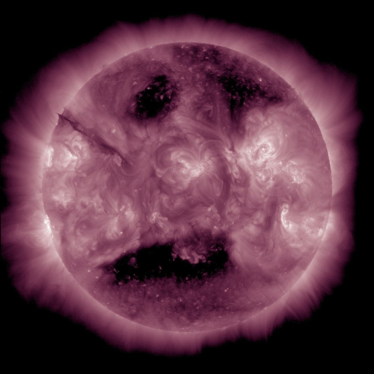 Фото xras.ru  📷
