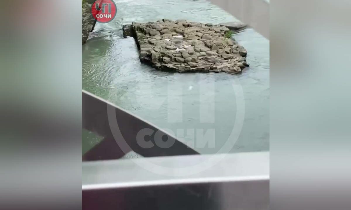    Скриншот видео t.me/chp_sochi