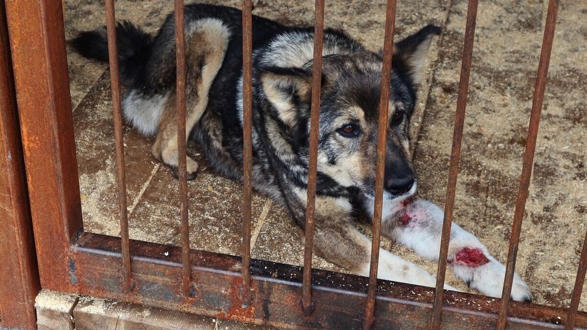     Источник: 1MI