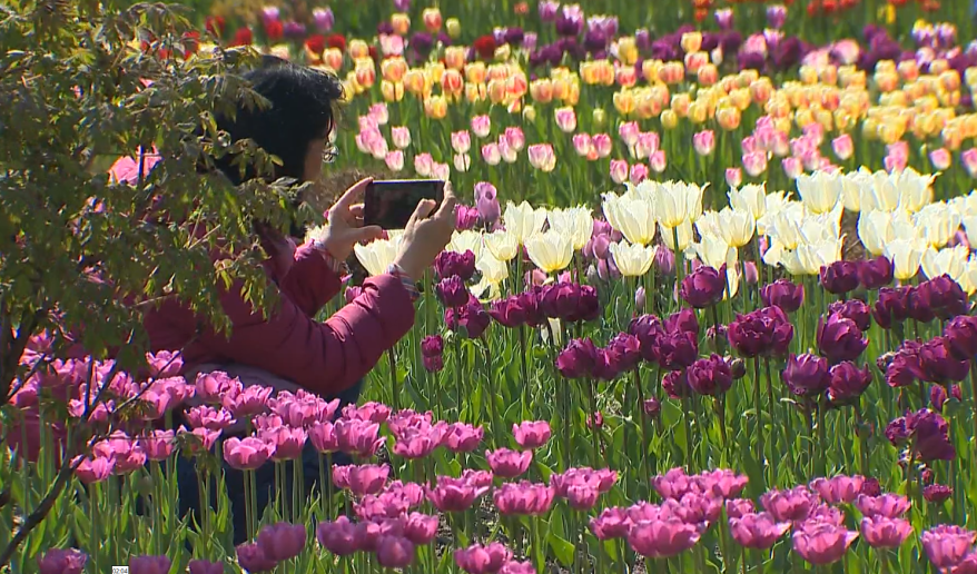    Источник фото: