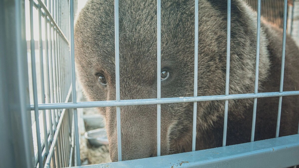     Источник: 1MI