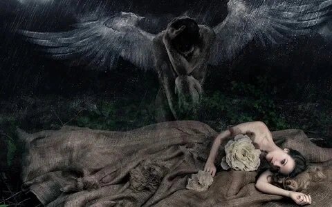 Картинка из общего доступа. 