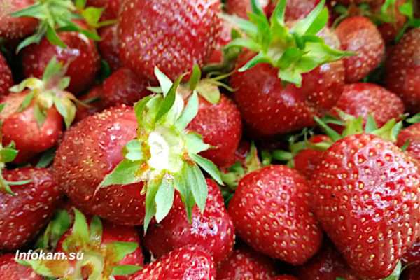    Клубника на рынке в Камышине