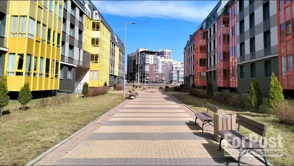 Ходят, смотрят, не покупают: рынок как выставка без ценников. Фото: Андрей Мединский / ForPost