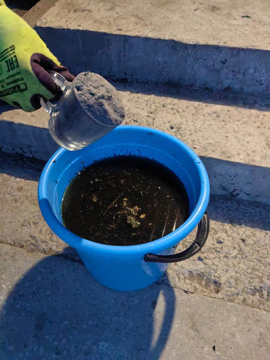 Добавление золы в раствор сброженной травы. Фото автора