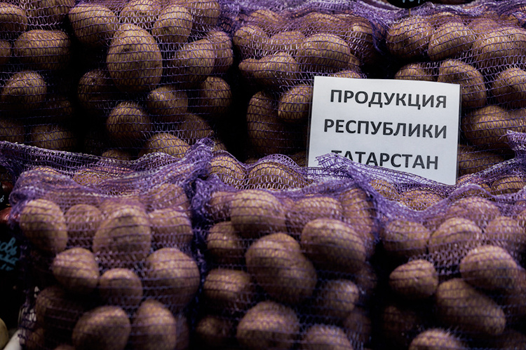    Республика Татарстан занимает 3-е место в России по производству картофеля (1-е в ПФО), для сравнения: 7-е — по сахарной свекле, 11-е — по валовому сбору овощей.   
Фото: «БИЗНЕС Online»