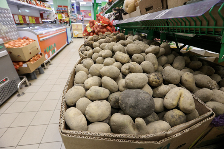    Если в апреле 2024 года килограмм картофеля в рознице стоил 26,51 рубля, то в январе 2025-го цена поднялась уже до 49,11 рубля и продолжила свой рост. А по данным Татарстанстата на 19 мая 2025 года, картофель стоил уже 81,5 рубля за килограмм.   
Фото: «БИЗНЕС Online»