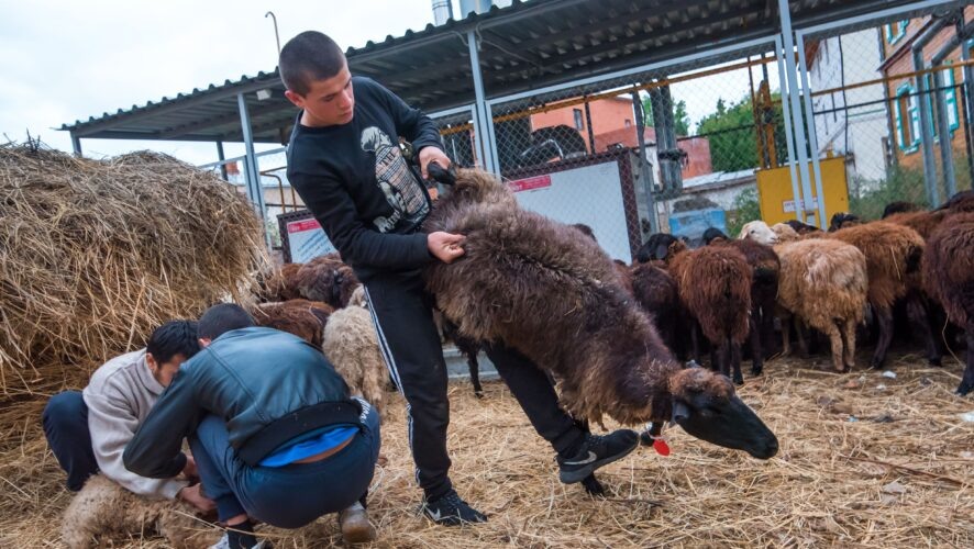    Фото: KazanFirst