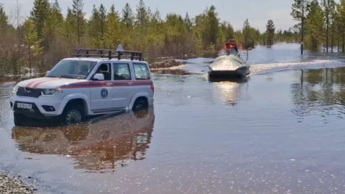    Фото: скриншот видео «Ямал-Медиа»