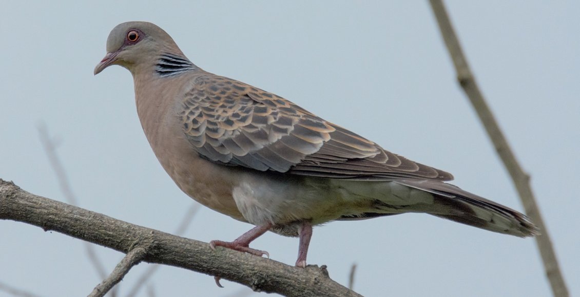    Фото: из открытых источников