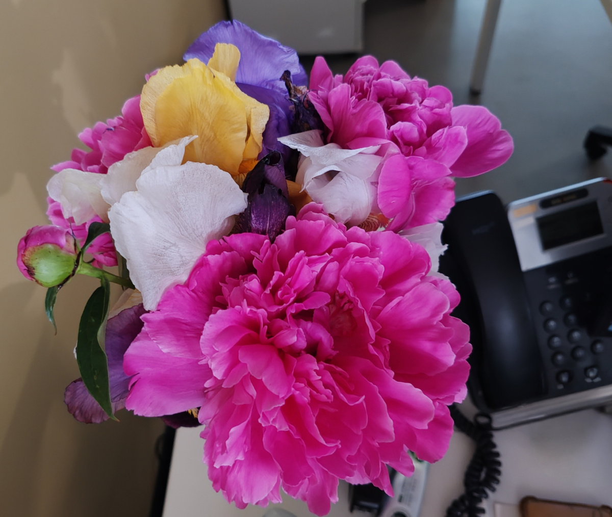 Фото автора канала. 