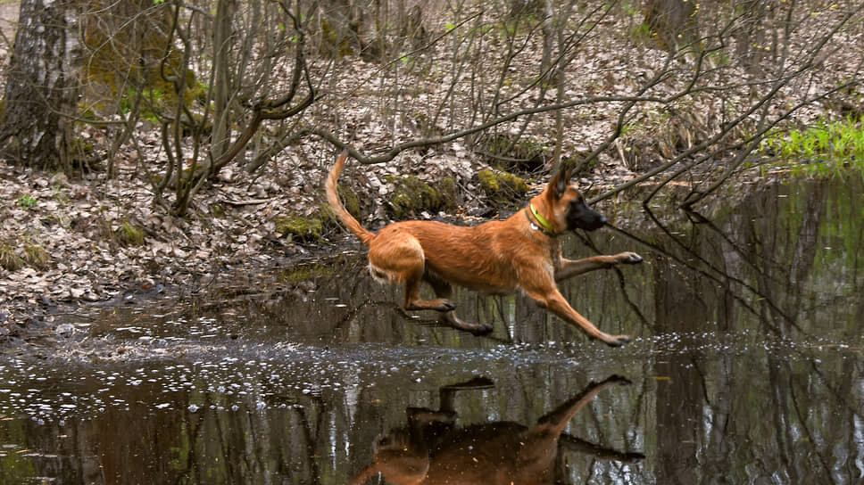Фото: Надежда Буаллаг / Коммерсантъ
