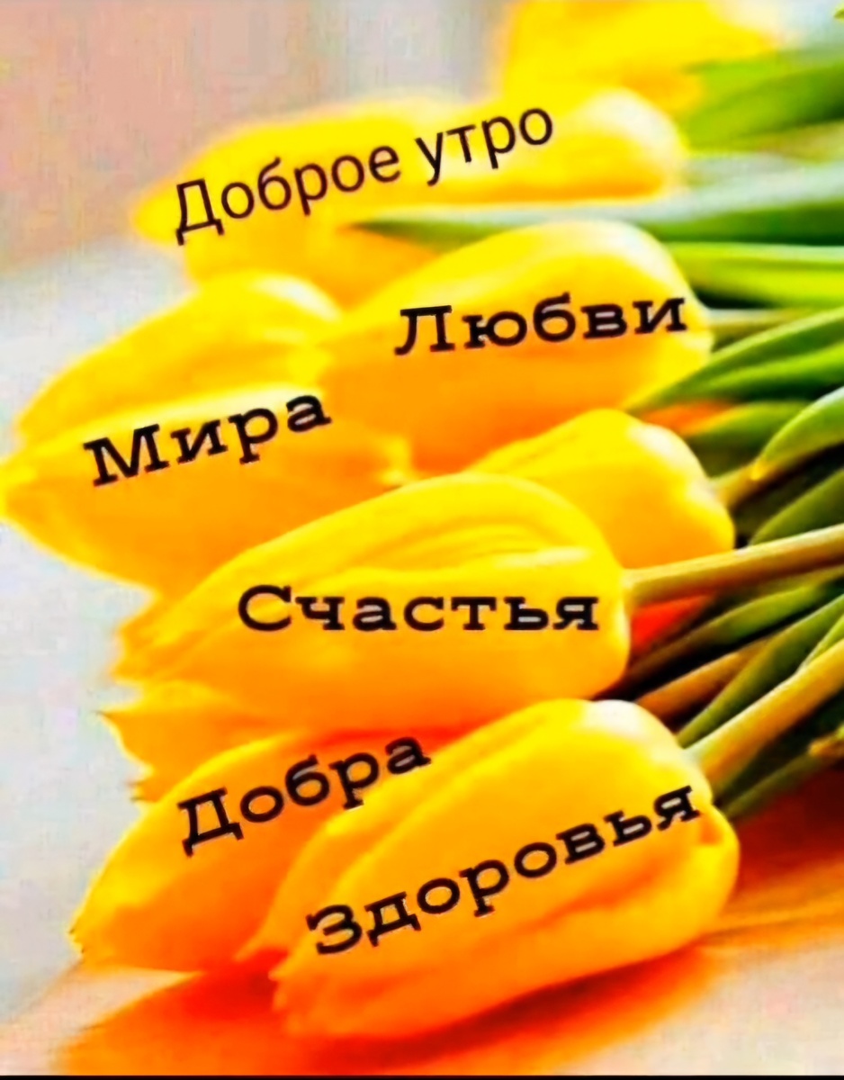 Скрин сделан автором статьи 