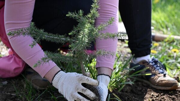    © Sputnik / Константин Михальчевский