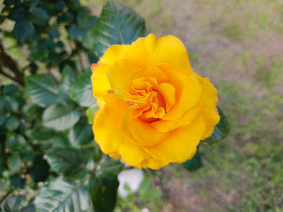 Адлер, июнь 2025 г.