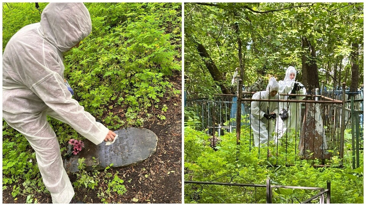     Источник: Бюро генеалогии