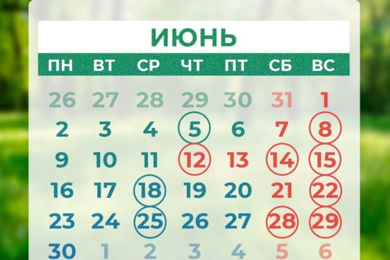 Как отдыхаем