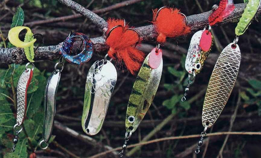 Фото из сети