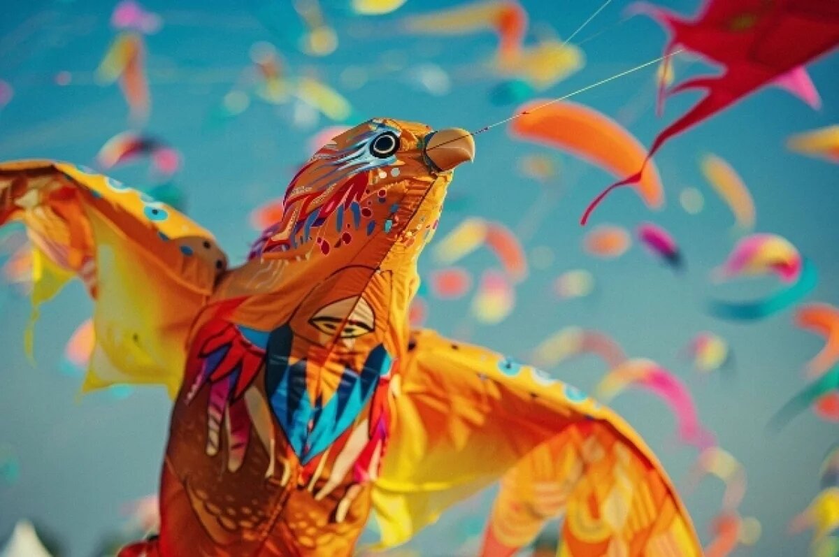    В Хабаровске устроят фестиваль воздушных змеев и гастрономические экскурсии