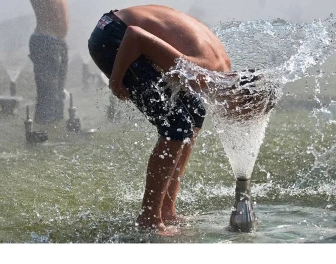 Фото из интернета